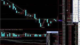 炒股票入门视频,入门炒股票视频精华解析